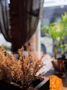 Sarvik restoran taimed aknalaual