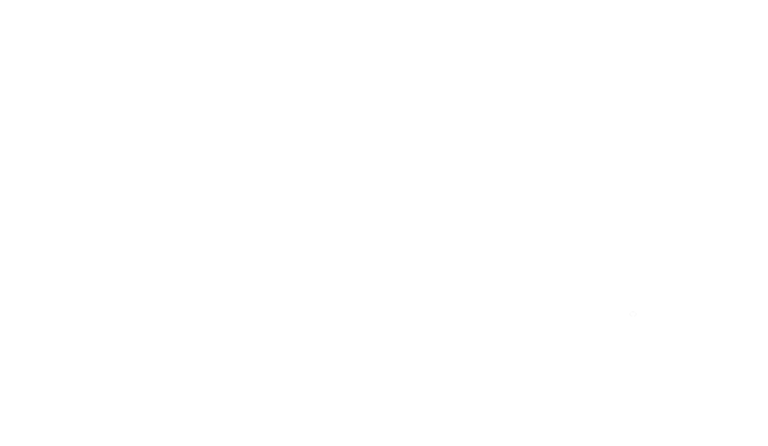 Virma_pubi_logo_white